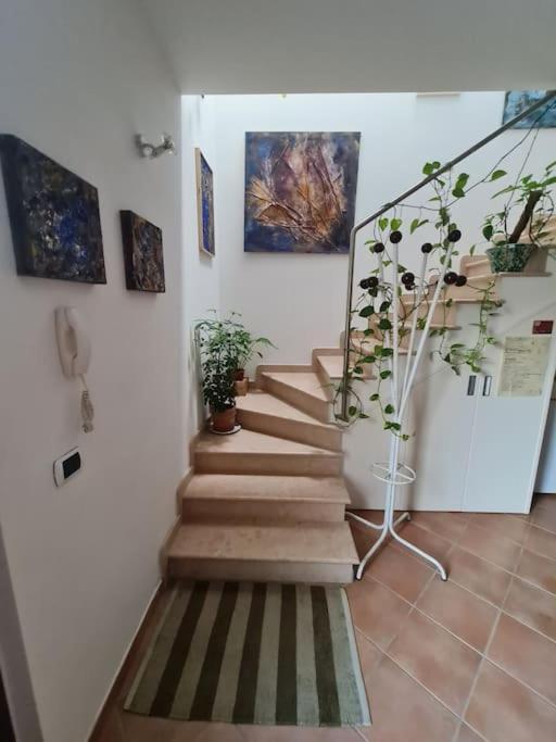 Scrigno Del Borgo-Intero Alloggio Montelupone Exterior foto